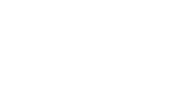 Day 1 Frog